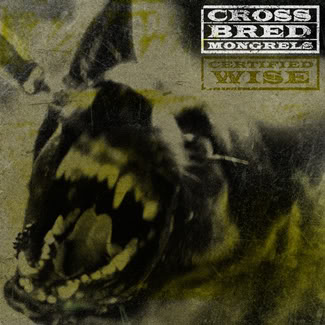 crossbred Mongrels allaussie hip hop