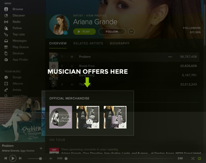 spotify_musician_offers_ariana (1)