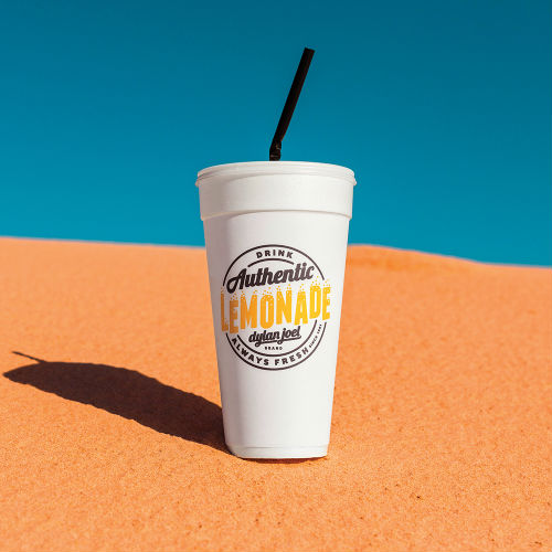 dylanjoel_authenticlemonade