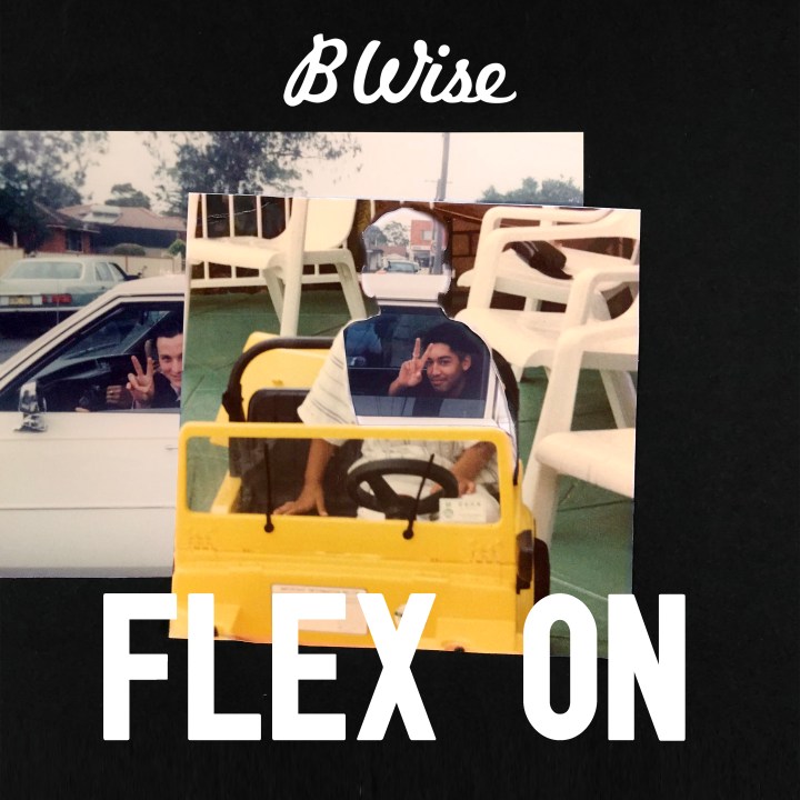 B Wise - Flex On - Cover Art